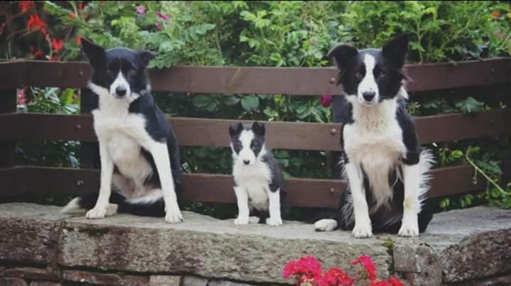 Clachan Farmhouse B & B อัลลาพูล ภายนอก รูปภาพ