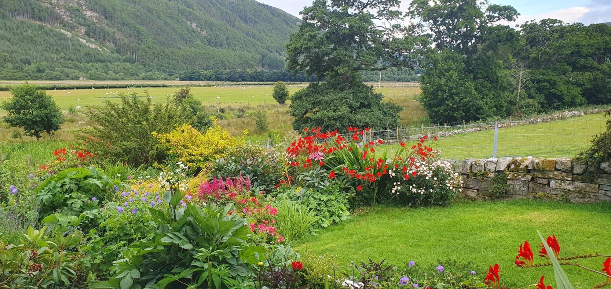 Clachan Farmhouse B & B อัลลาพูล ภายนอก รูปภาพ